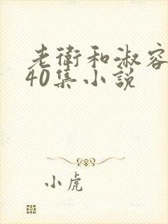 老卫和淑容1-40集小说封面