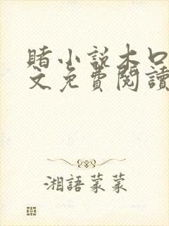 赌小说木口银全文免费阅读笔趣阁