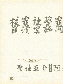 校霸被学霸玩到崩溃云译网