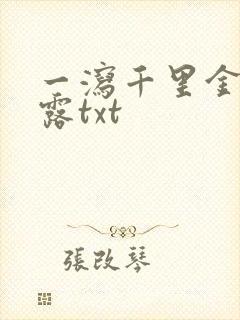 一泻千里金银花露txt