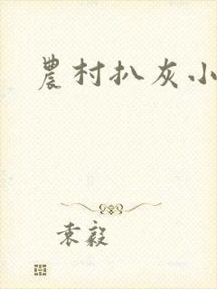 农村扒灰小说封面