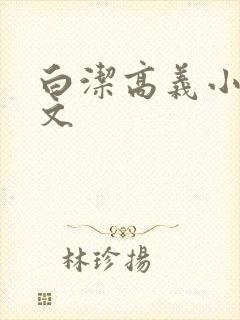 白洁高义小说全文