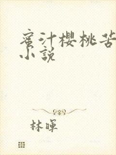 蜜汁樱桃苦咖啡小说封面