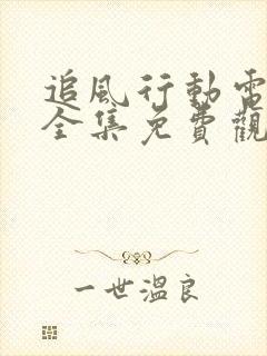 追风行动电视剧全集免费观看