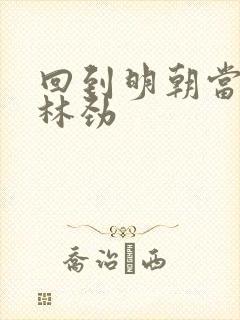 回到明朝当王爷林劲