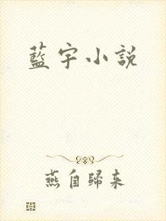 蓝宇小说