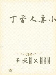 丁香人妻小说封面