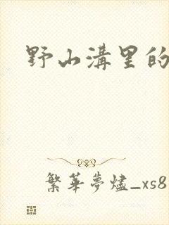 野山沟里的村庄封面