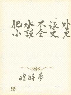 肥水不流外人田小说全文免费阅读全本免封面