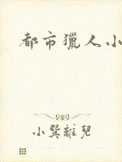 都市猎人小说