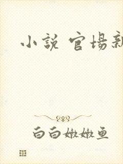 小说 官场新贵