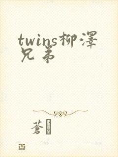 twins柳泽兄弟
