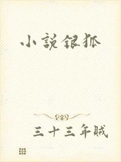 小说银狐