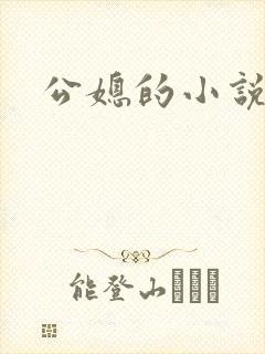 公媳的小说