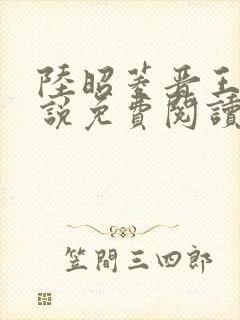 陆昭菱晋王的小说免费阅读