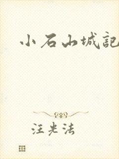 小石山城记封面