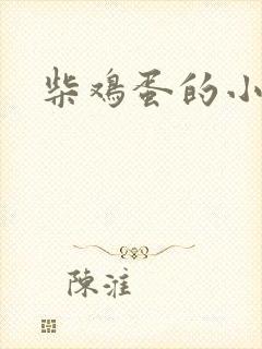 柴鸡蛋的小说