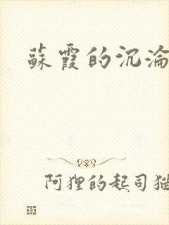 苏霞的沉沦封面