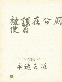 被锁在公厕当坐便器