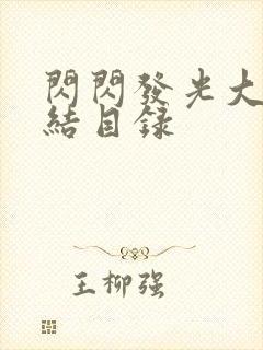 闪闪发光大团圆结目录