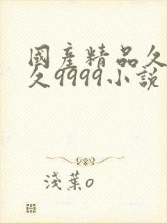 国产精品久久久久9999小说封面