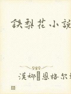 铁梨花小说封面