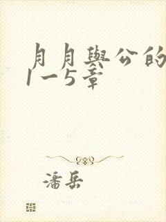 月月与公的激情1一5章