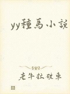 yy种马小说