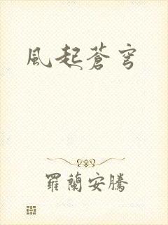 风起苍穹