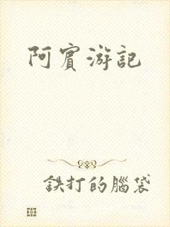 阿宾游记