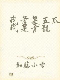 我爹是五爪金龙我是青龙