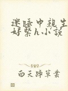 迷睡中亲生乖女好紧h小说封面