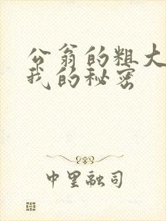 公翁的粗大放进我的秘密