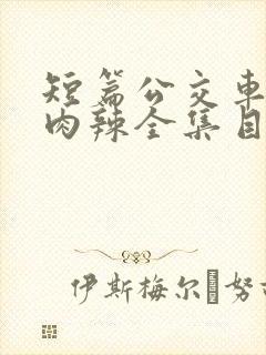 短篇公交车高h肉辣全集目录封面