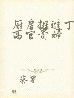 厨房挺进丁字裤高官贵妇