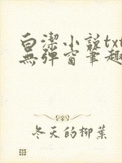 白洁小说txt无弹窗笔趣阁