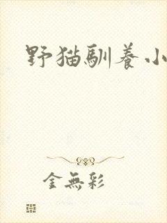 野猫驯养小说