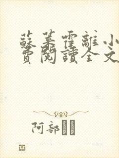 苏莱霍离小说免费阅读全文封面