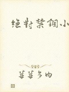 绝对禁锢小说封面