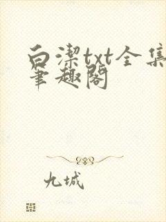 白洁txt全集笔趣阁封面