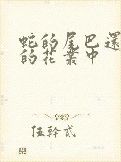 蛇的尾巴还在我的花丛中