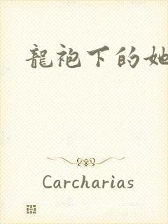 龙袍下的她封面