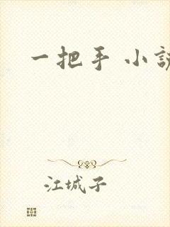 一把手 小说