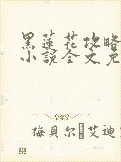 黑莲花攻略手册小说全文免费阅读笔趣阁封面
