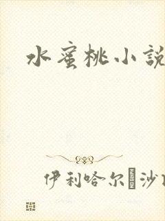 水蜜桃小说