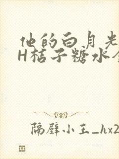 他的白月光HVH桔子糖水全文