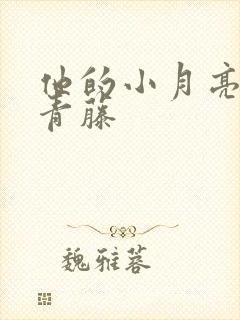 他的小月亮by青藤