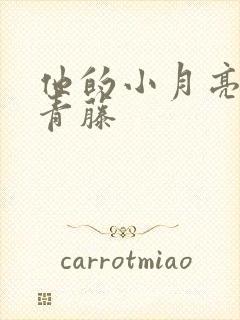 他的小月亮by青藤