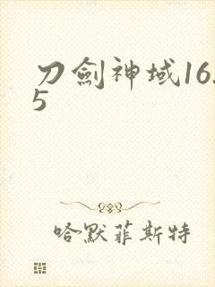 刀剑神域16.5