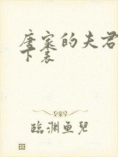 唐家的夫君们帘下衾